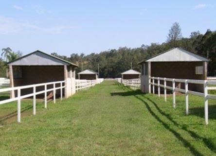Equestrian Property